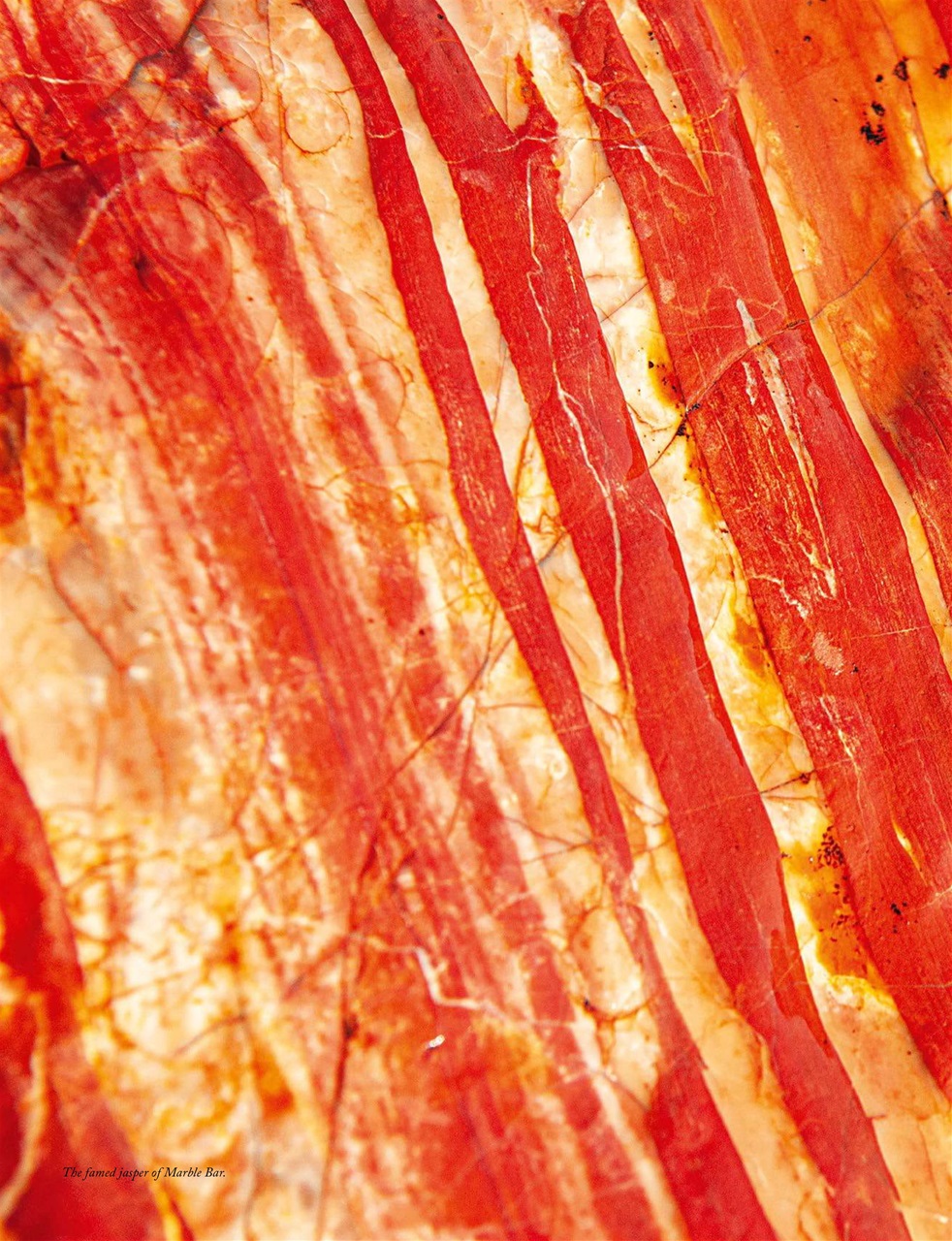 OUTBACK Magazine Preview Pages