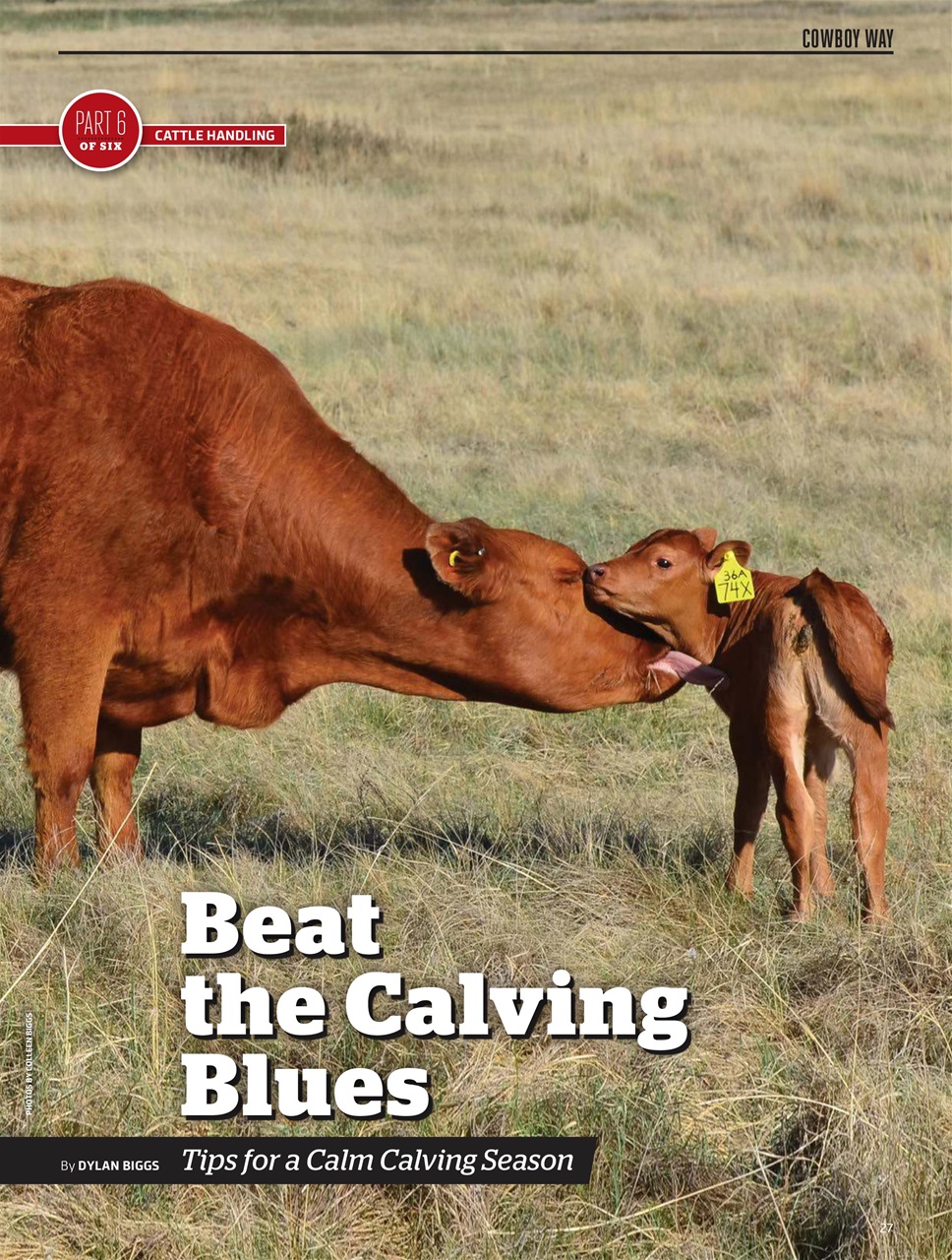 Canadian Cowboy Country Preview Pages