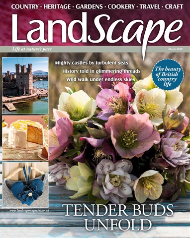 LandScape issue March 2020