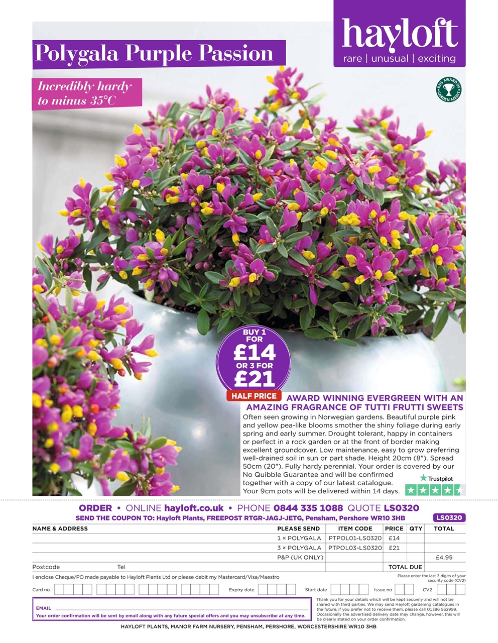 LandScape Preview Pages