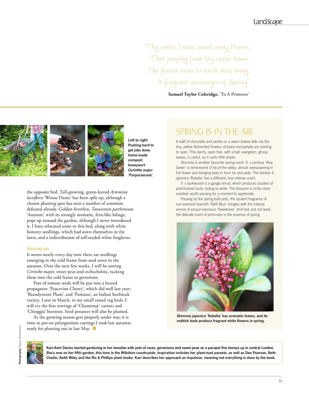 LandScape Preview Pages