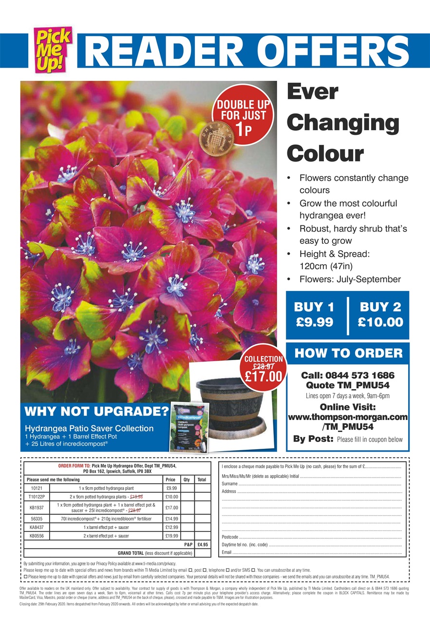 Pick Me Up Preview Pages