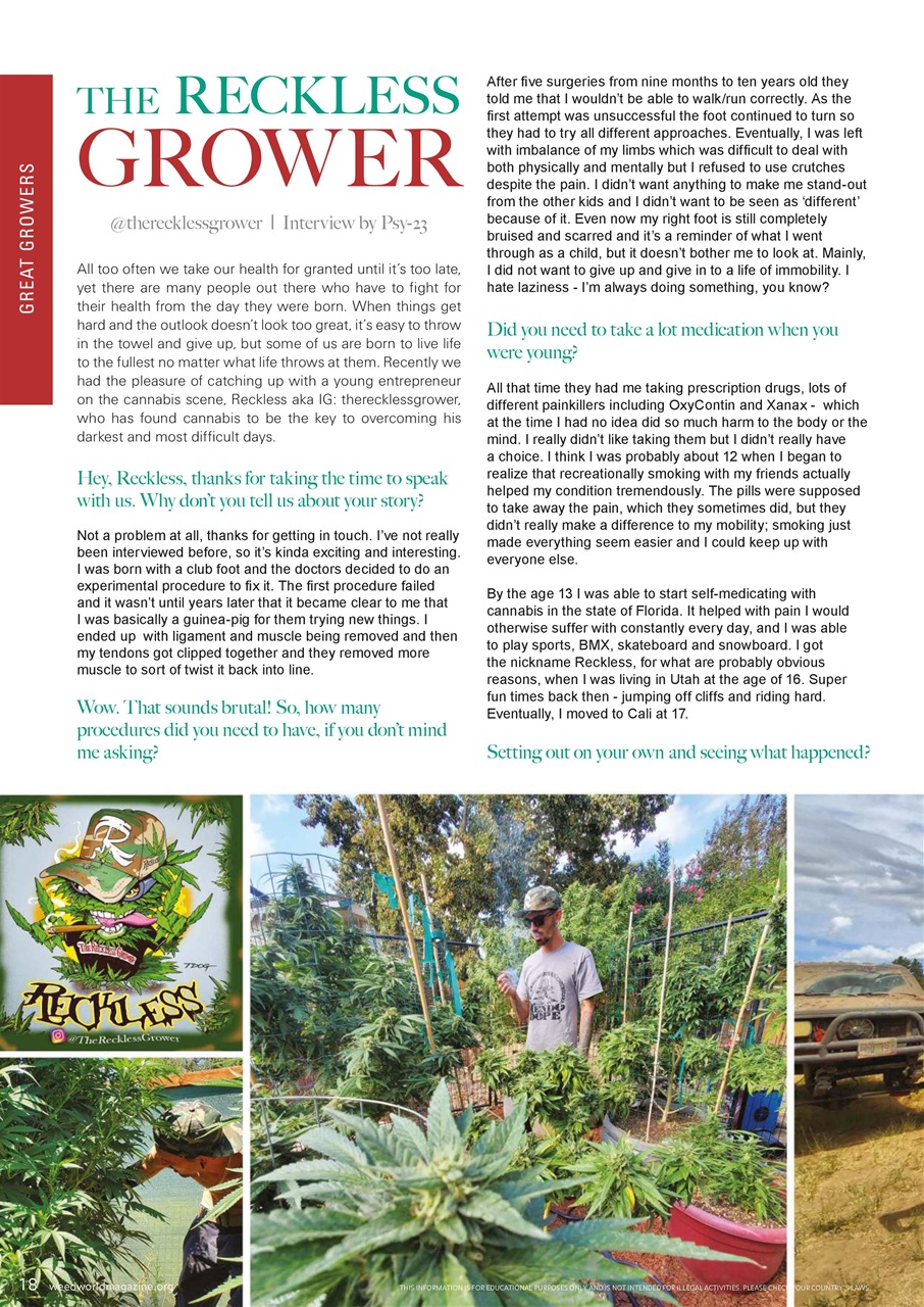 Weed World Preview Pages