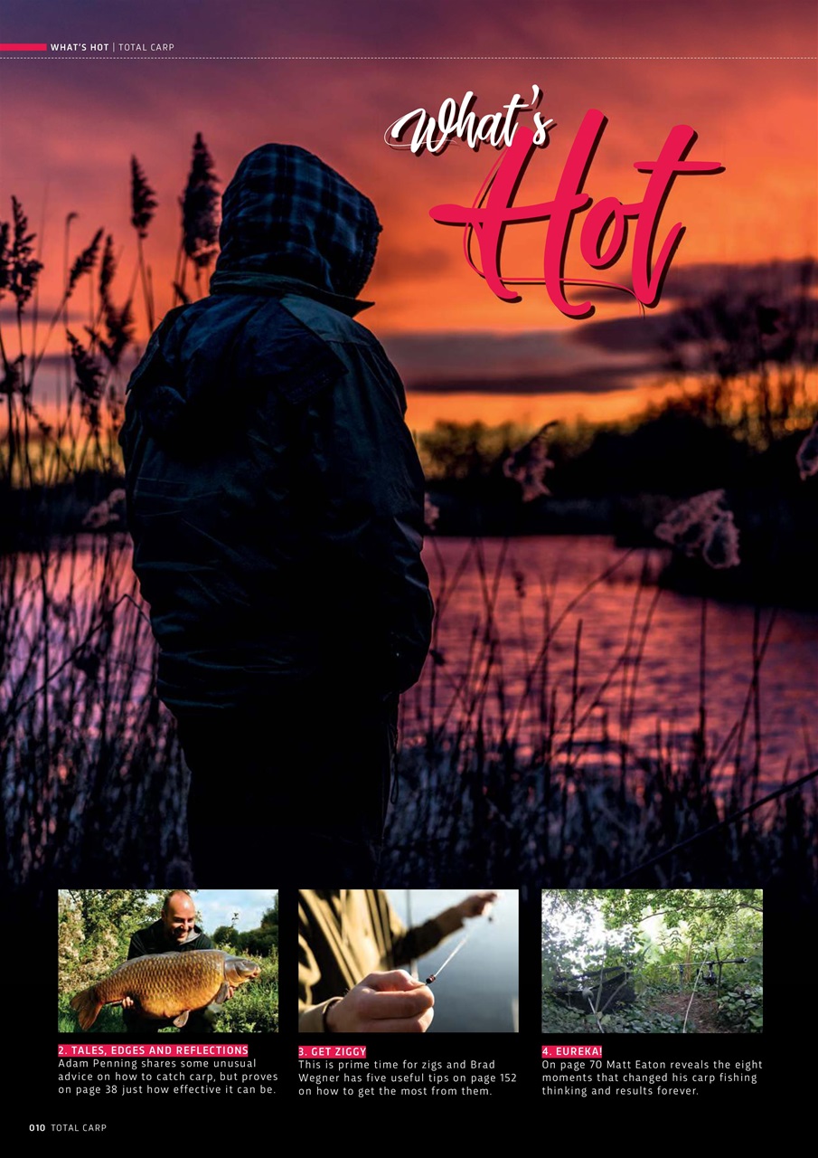 Total Carp Preview Pages