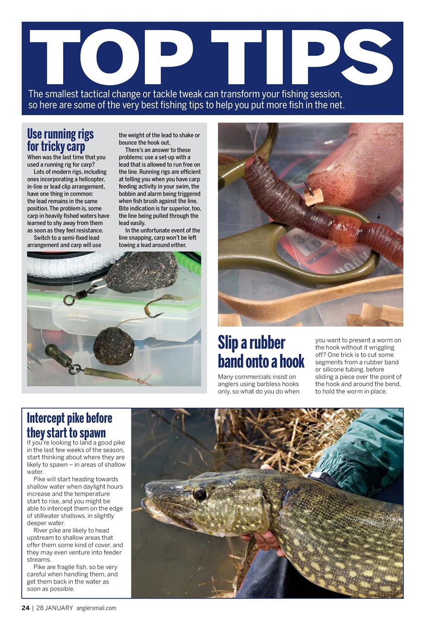 Anglers Mail Preview Pages