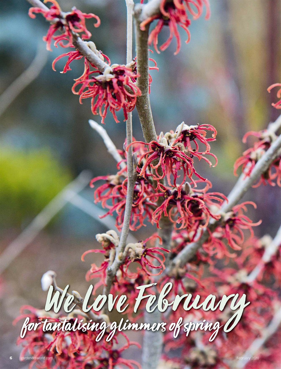 BBC Gardeners’ World Magazine Preview Pages
