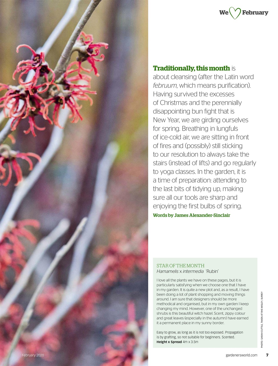 BBC Gardeners’ World Magazine Preview Pages