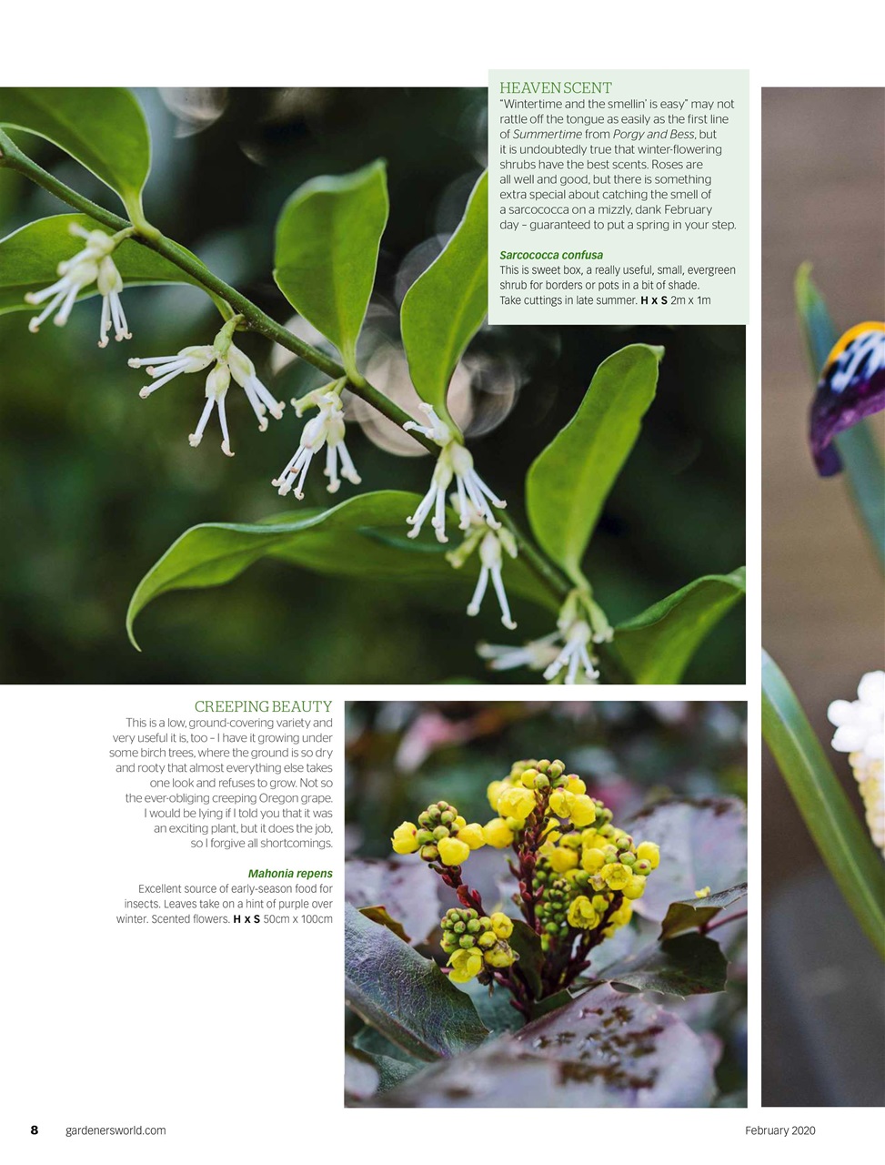 BBC Gardeners’ World Magazine Preview Pages