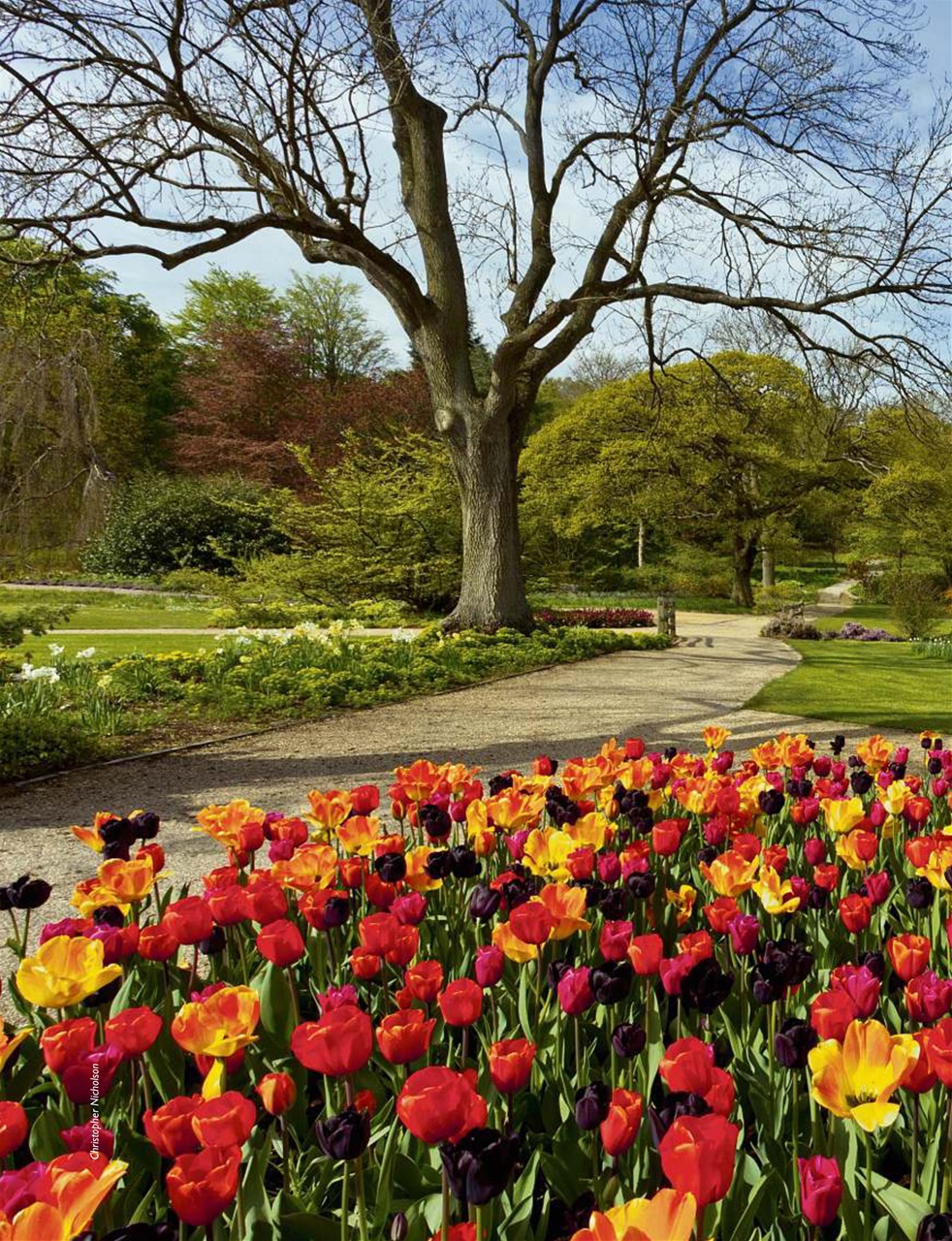 This England Preview Pages