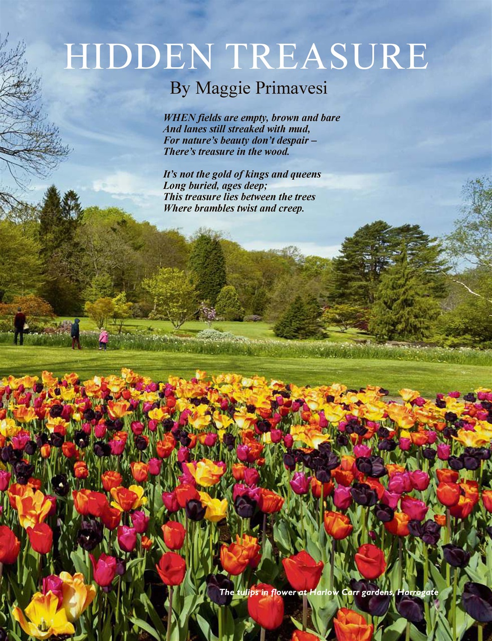 This England Preview Pages