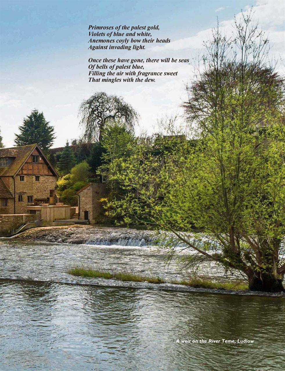 This England Preview Pages