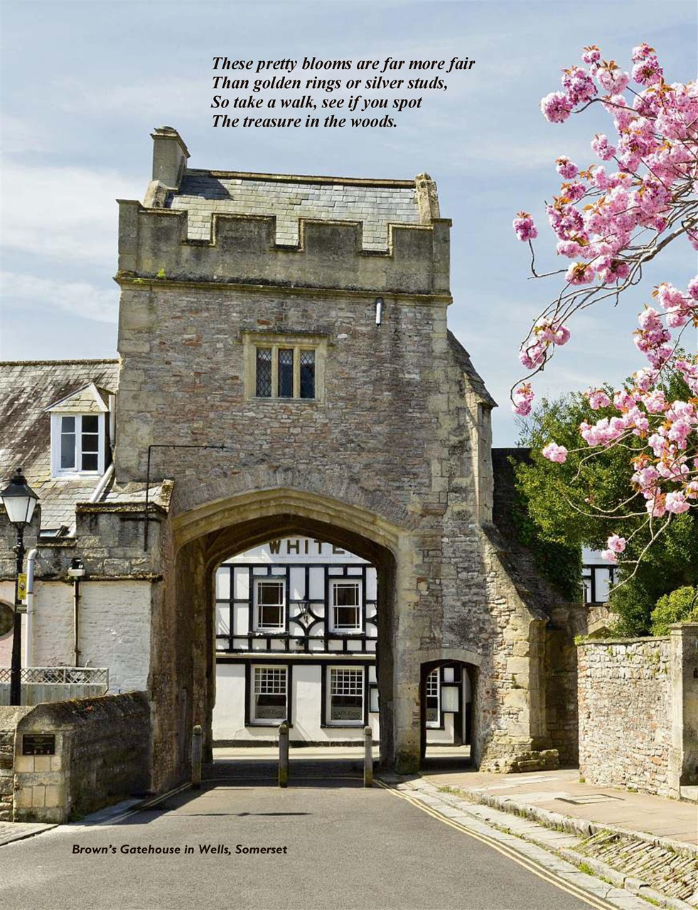 This England Preview Pages