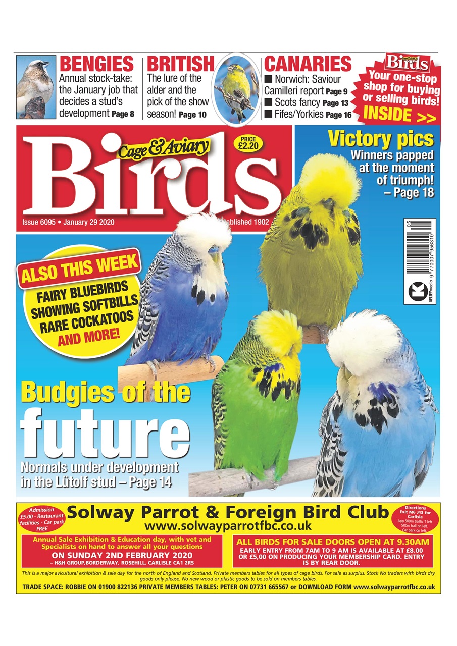 Cage & Aviary Birds Preview Pages