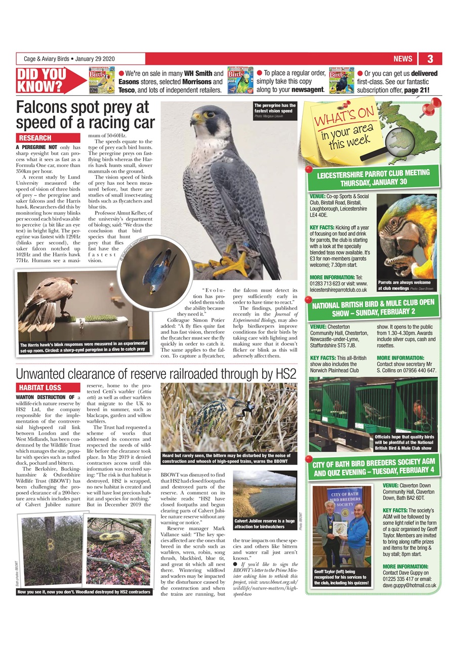 Cage & Aviary Birds Preview Pages
