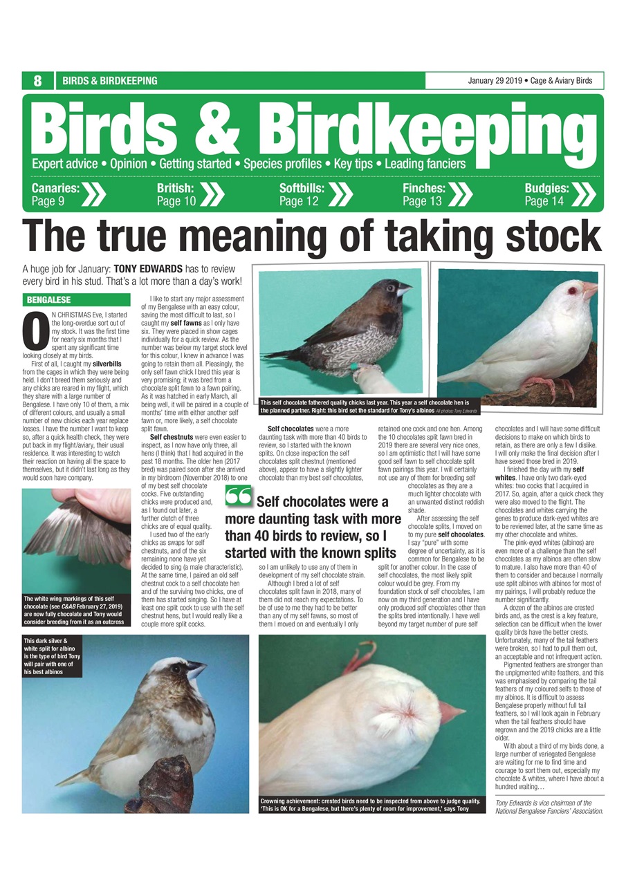 Cage & Aviary Birds Preview Pages