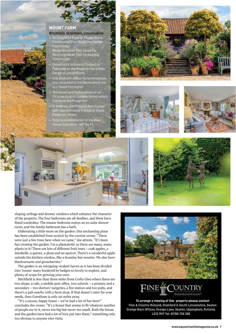 Equestrian Life Magazine Preview Pages