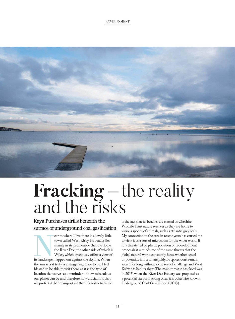 Be Kind Preview Pages