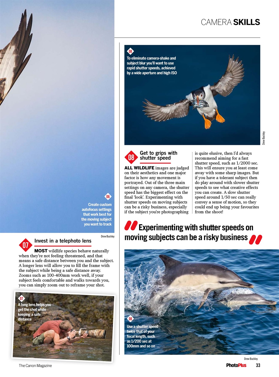 PhotoPlus Preview Pages