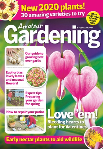 Amateur Gardening issue 8-Feb-2020