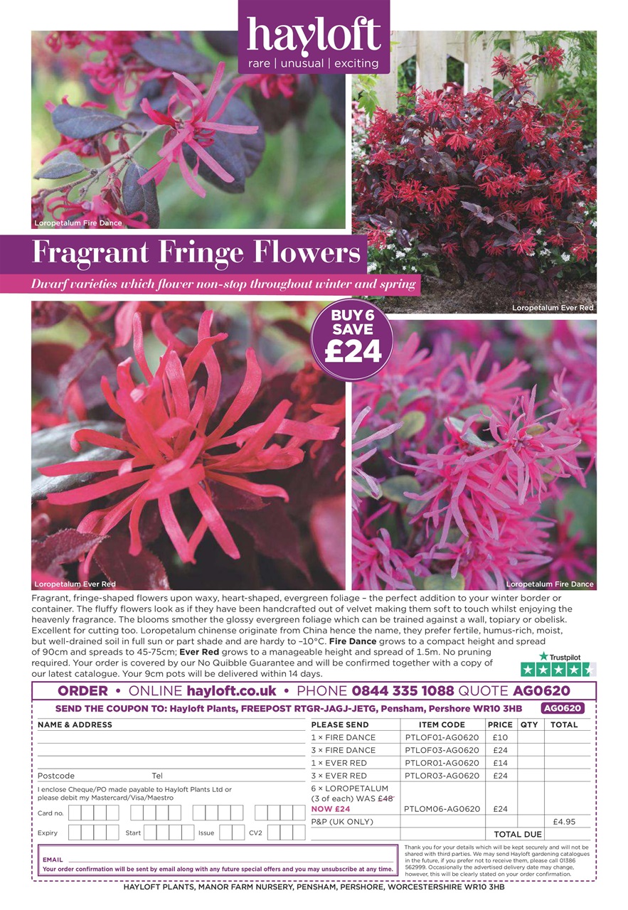 Amateur Gardening Preview Pages