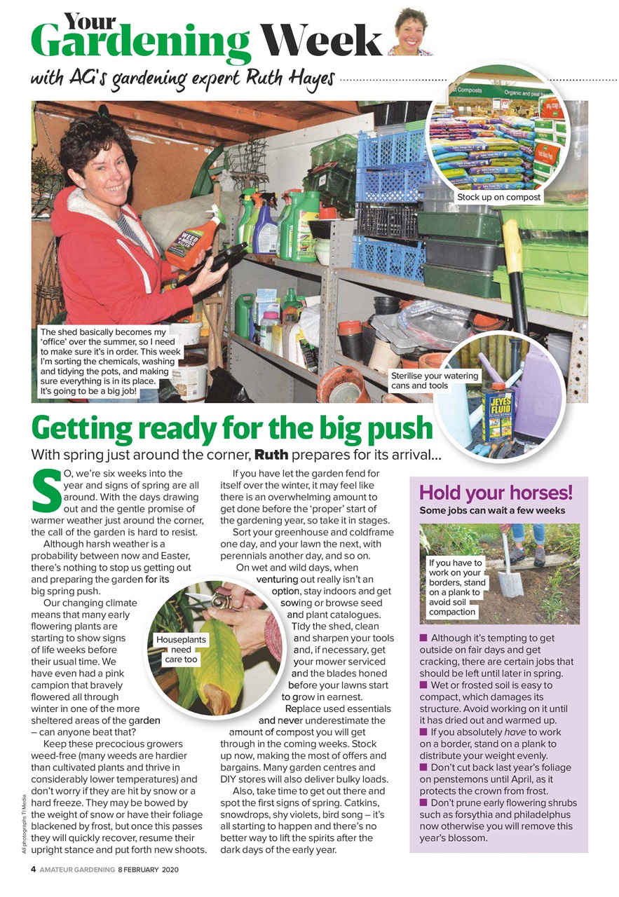 Amateur Gardening Preview Pages