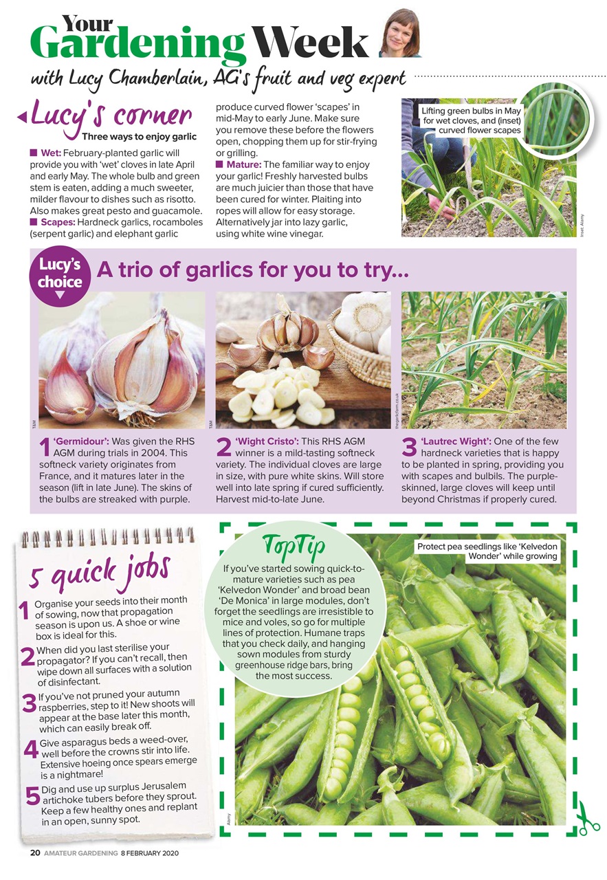 Amateur Gardening Preview Pages