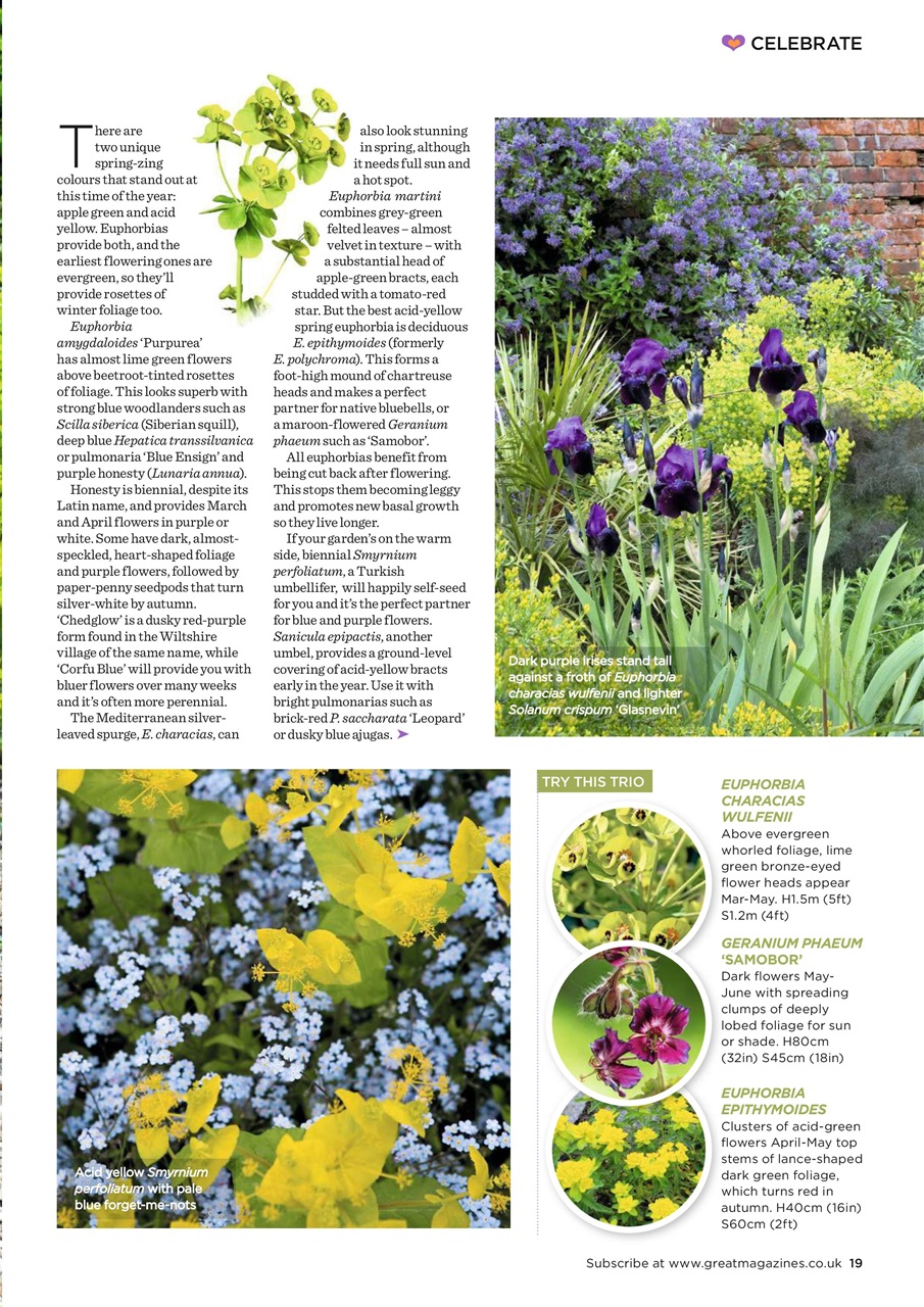 Garden Answers Preview Pages