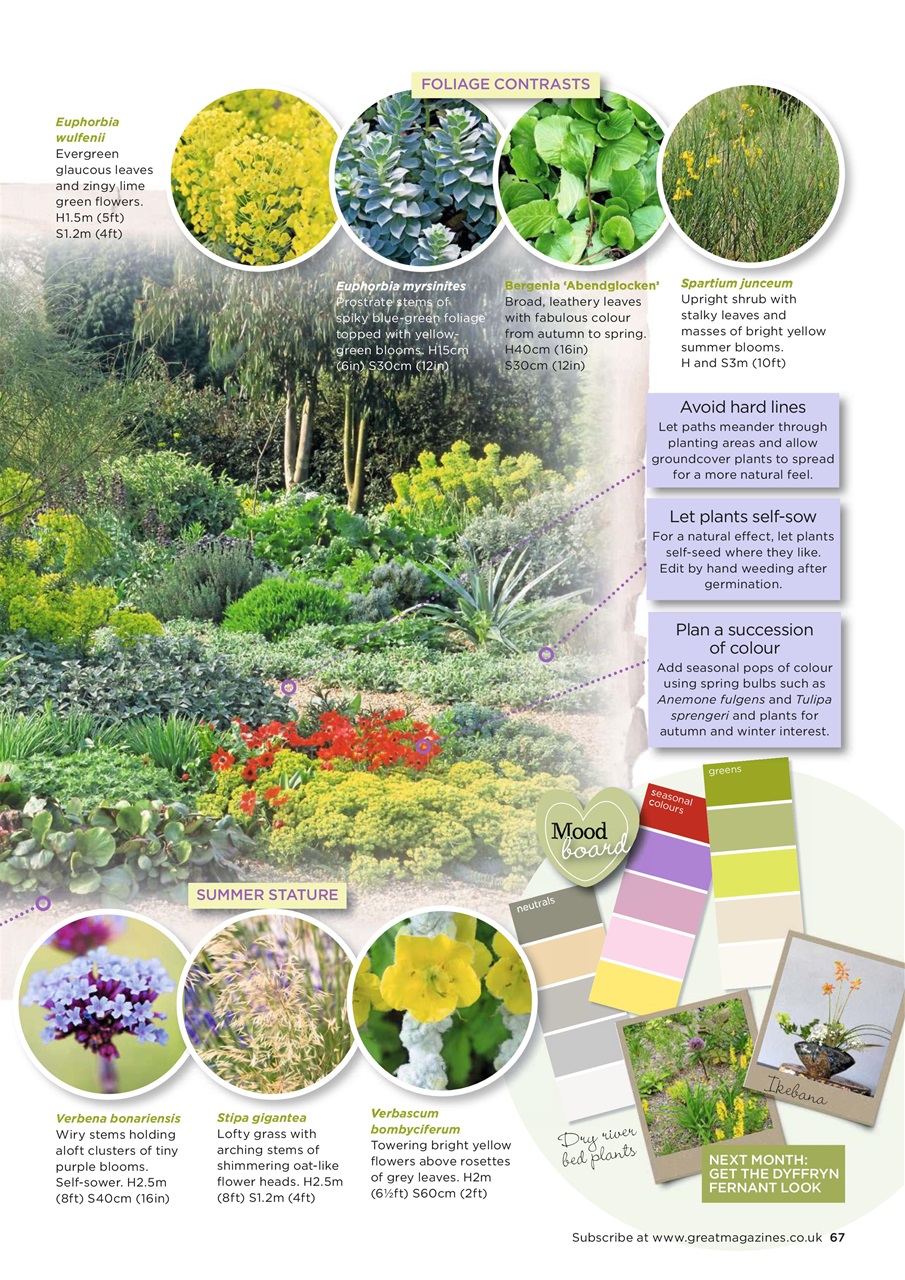 Garden Answers Preview Pages