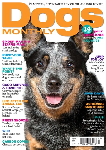 Dogs Monthly issue March 2020