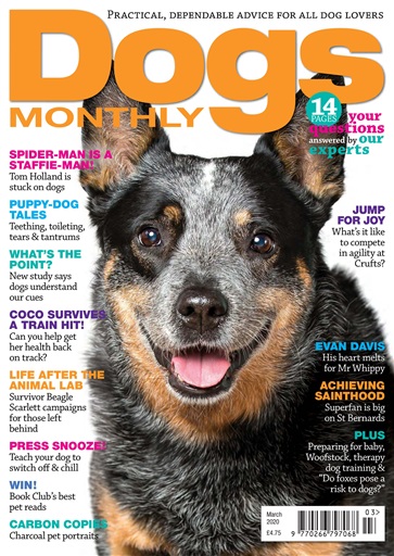 Dogs Monthly issue 
