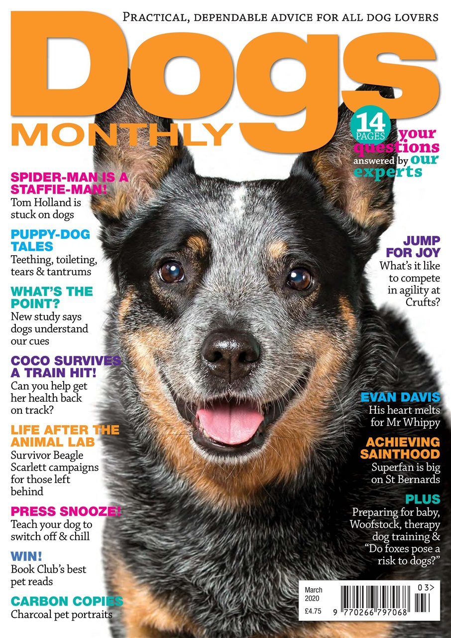 Dogs Monthly Preview Pages