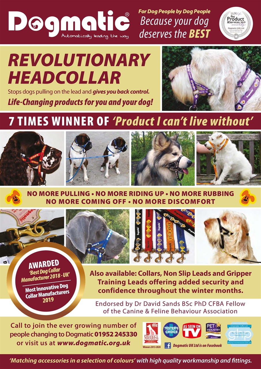 Dogs Monthly Preview Pages