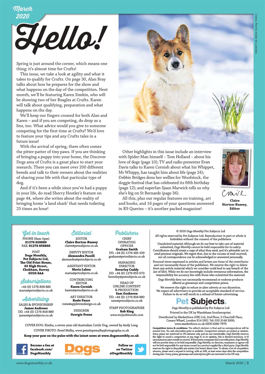 Dogs Monthly Preview Pages