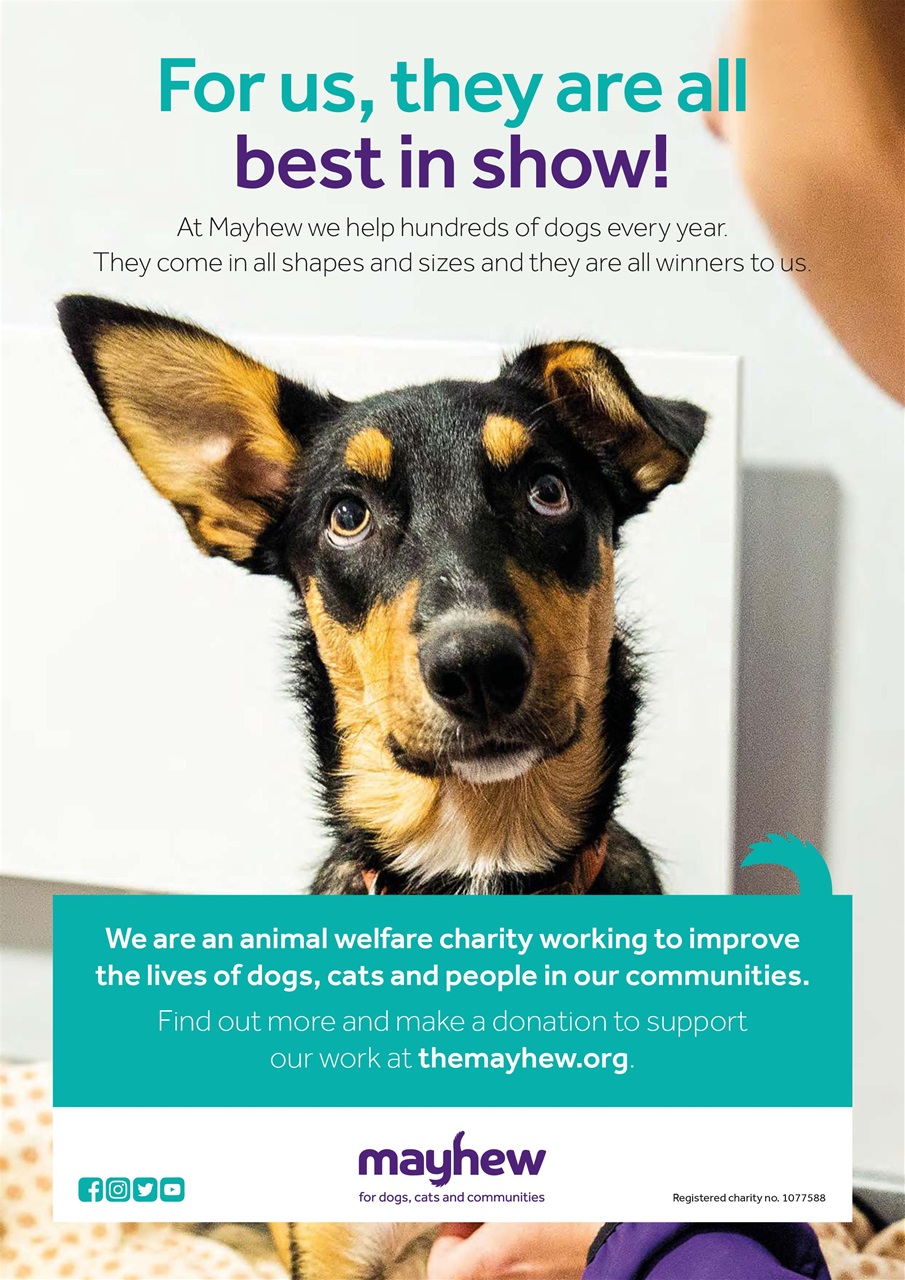 Dogs Monthly Preview Pages