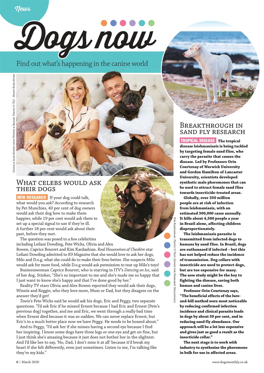 Dogs Monthly Preview Pages