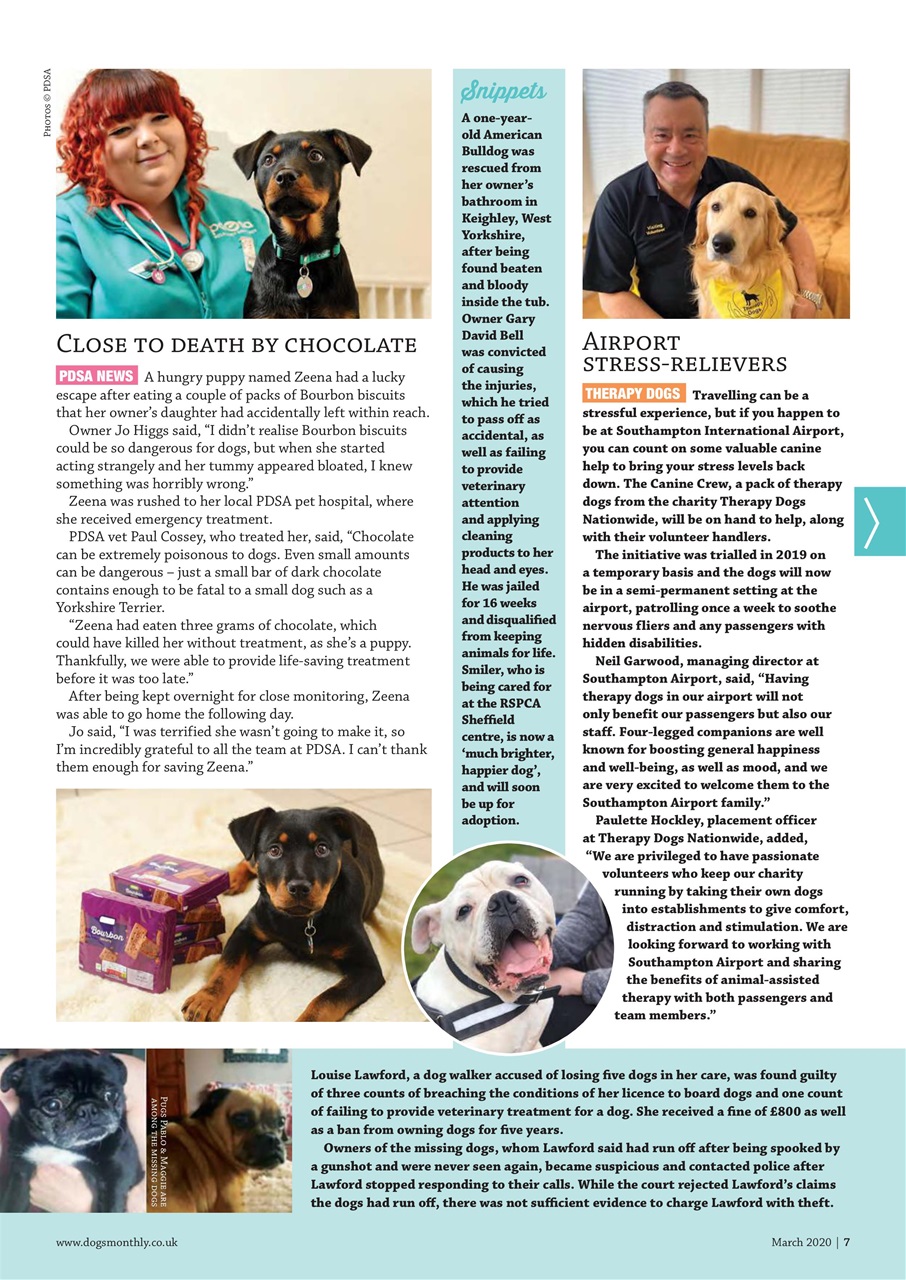 Dogs Monthly Preview Pages