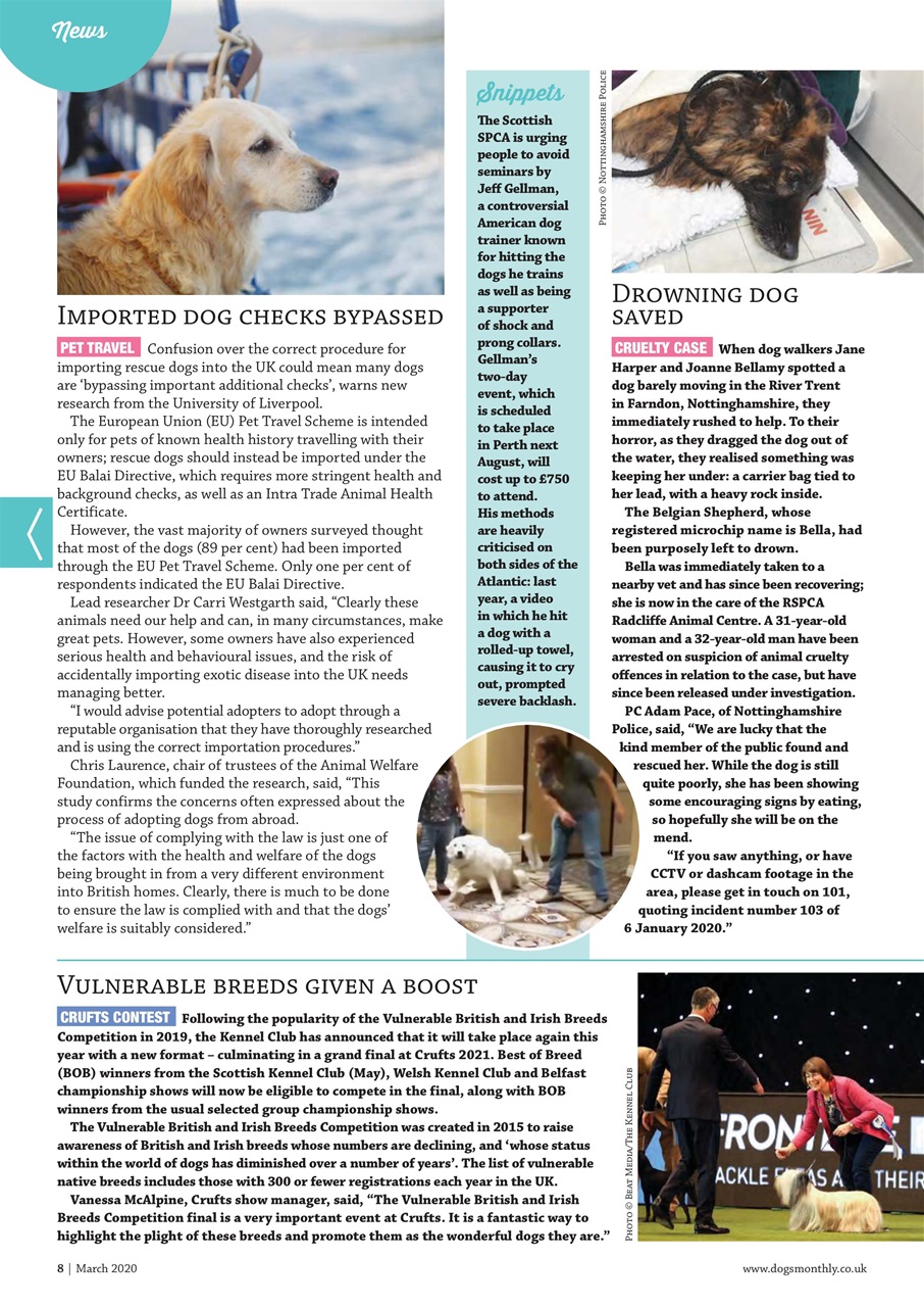 Dogs Monthly Preview Pages