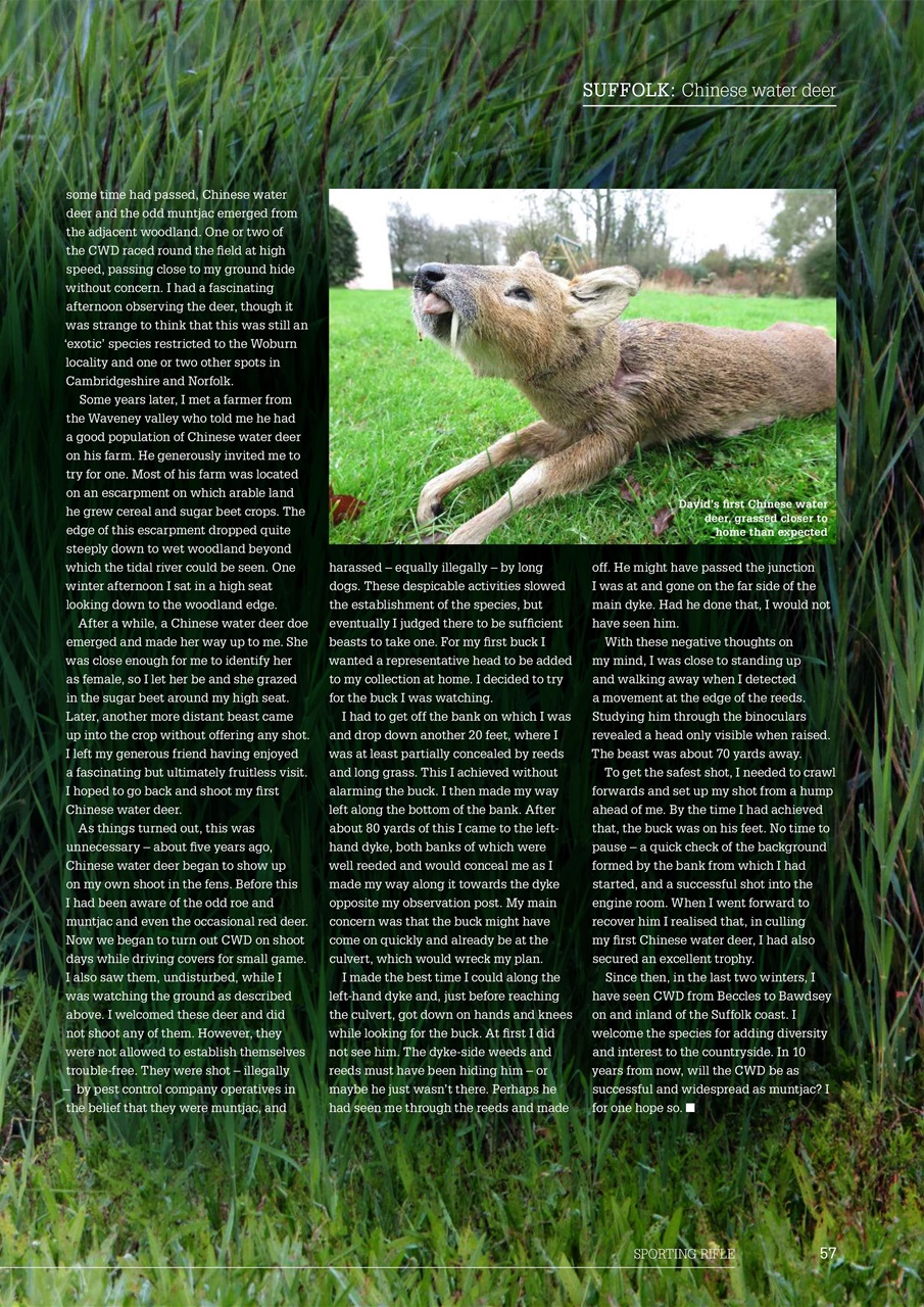 Sporting Rifle Preview Pages