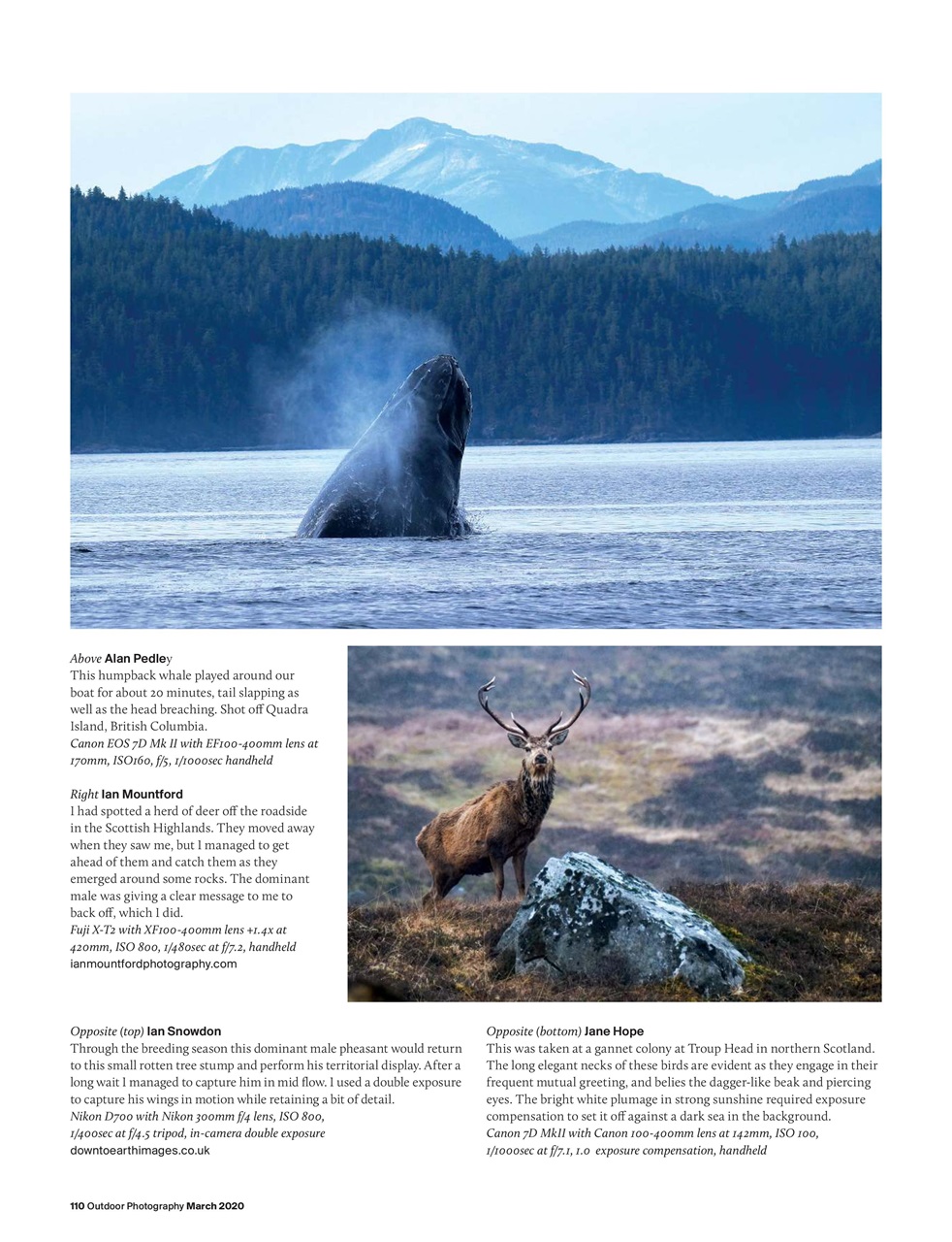 Outdoor Photography Preview Pages