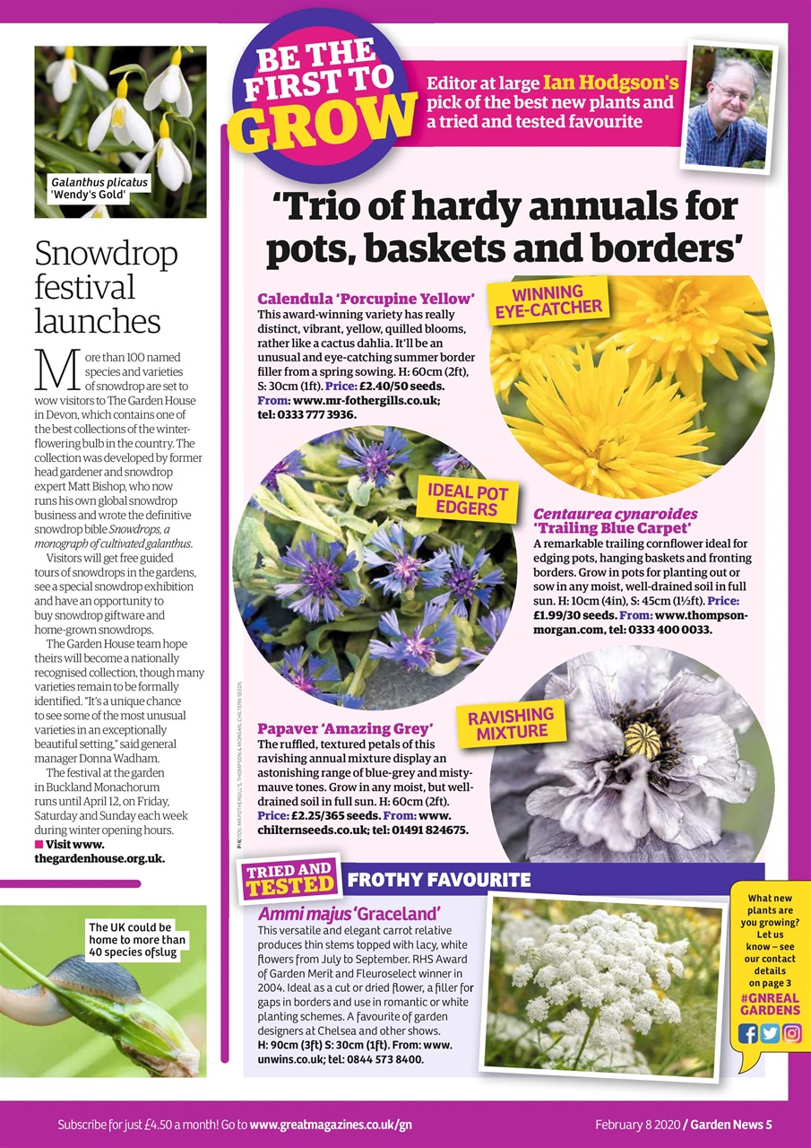 Garden News Preview Pages