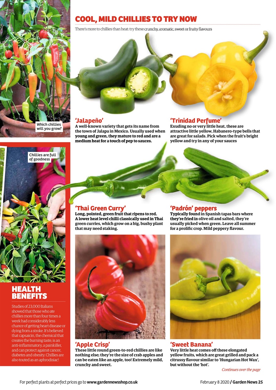 Garden News Preview Pages