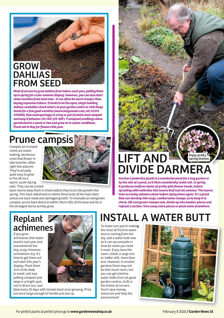 Garden News Preview Pages