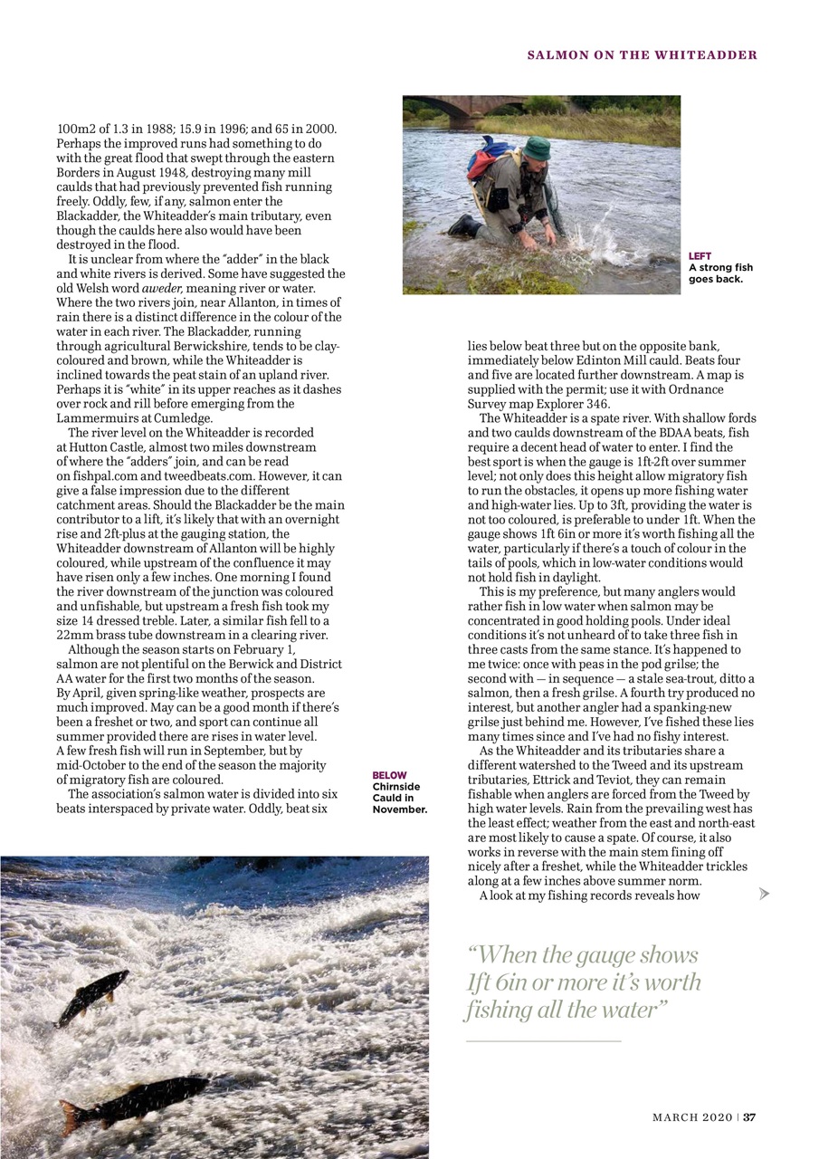 Trout & Salmon Preview Pages