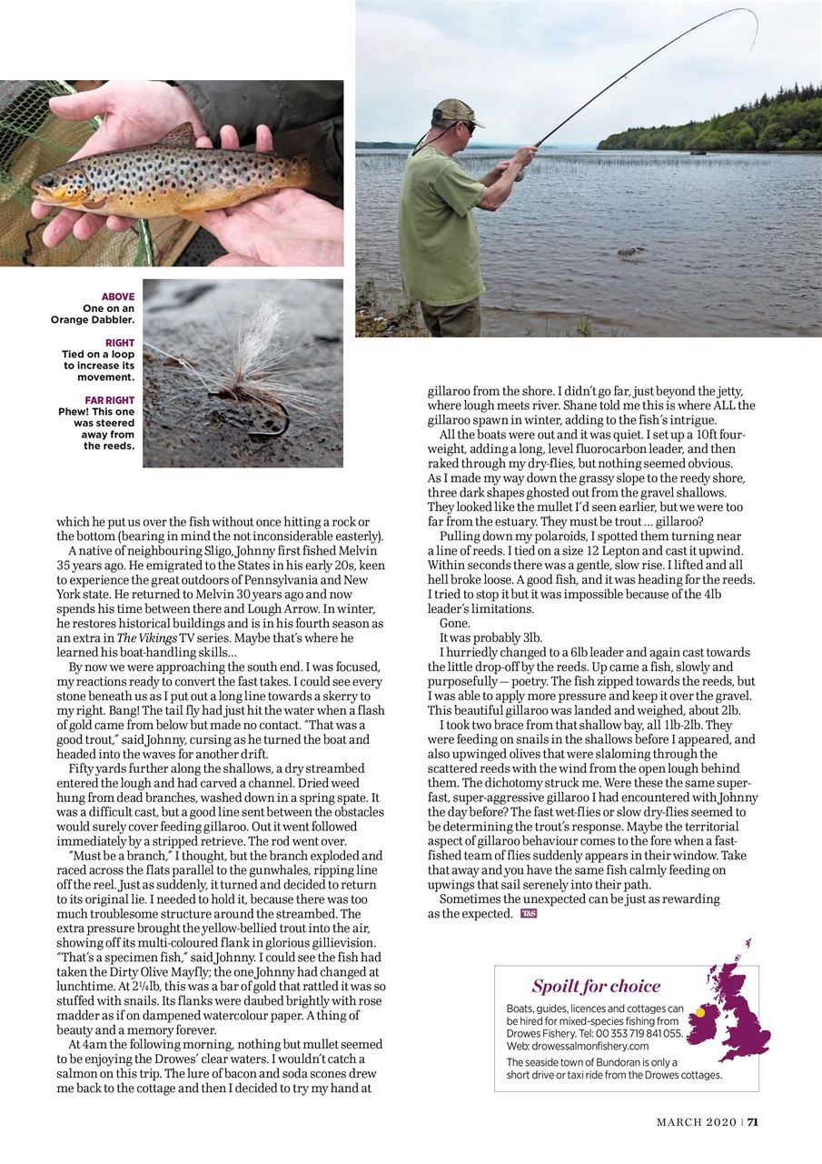 Trout & Salmon Preview Pages