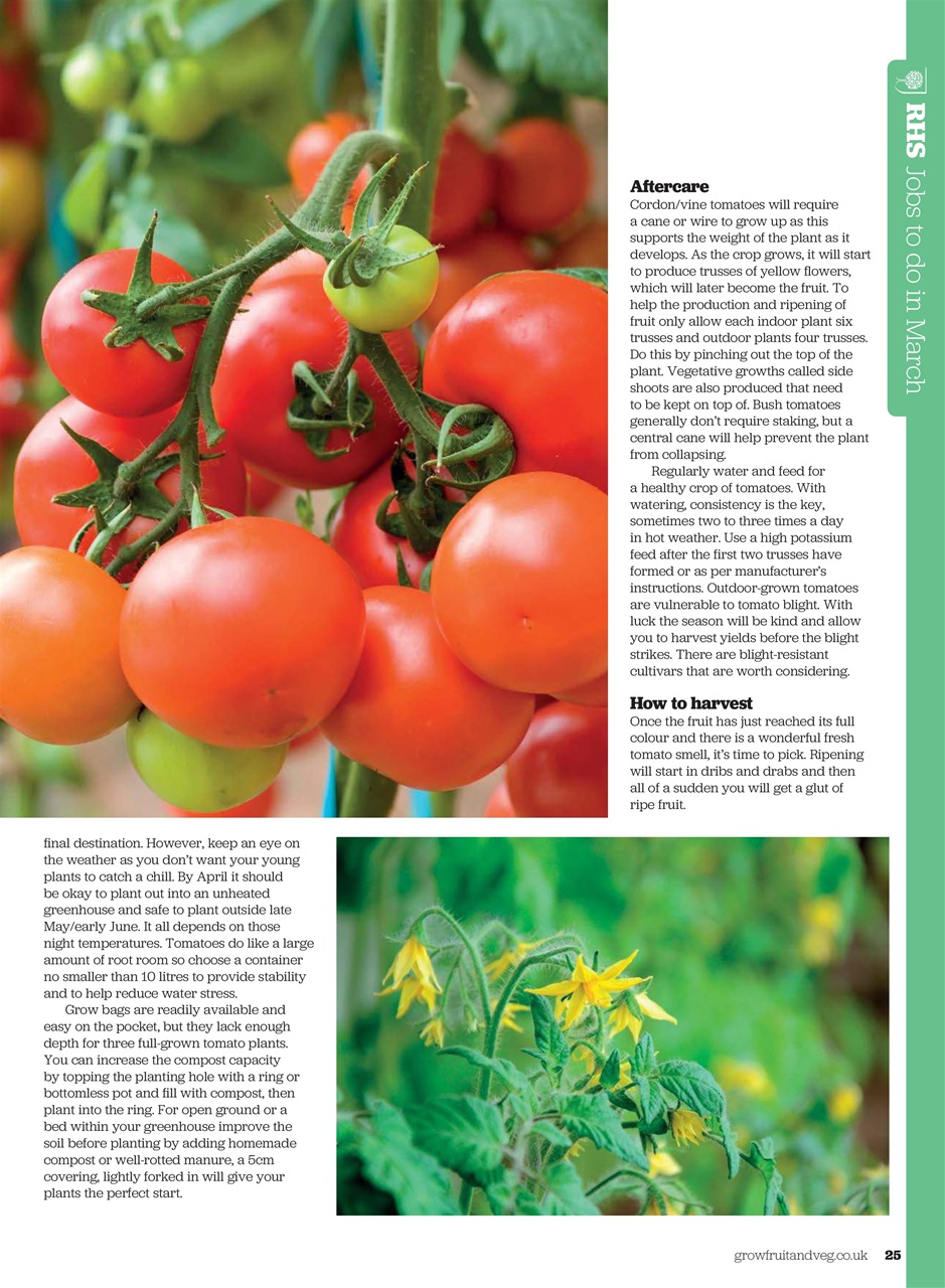 Grow Your Own Preview Pages
