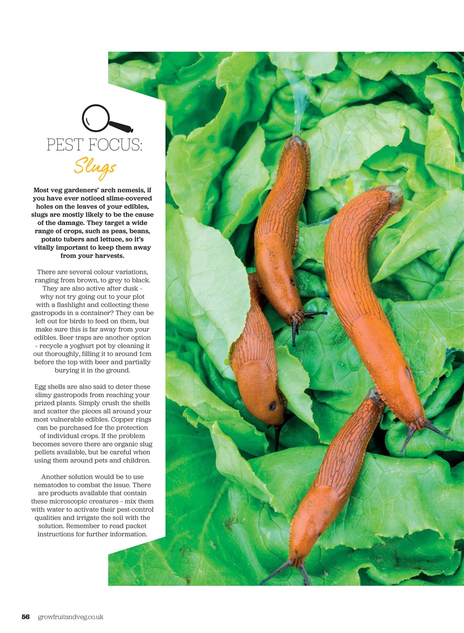 Grow Your Own Preview Pages