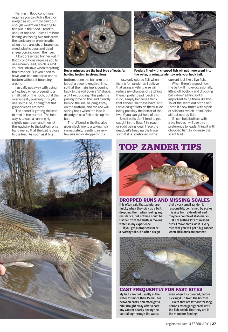 Anglers Mail Preview Pages