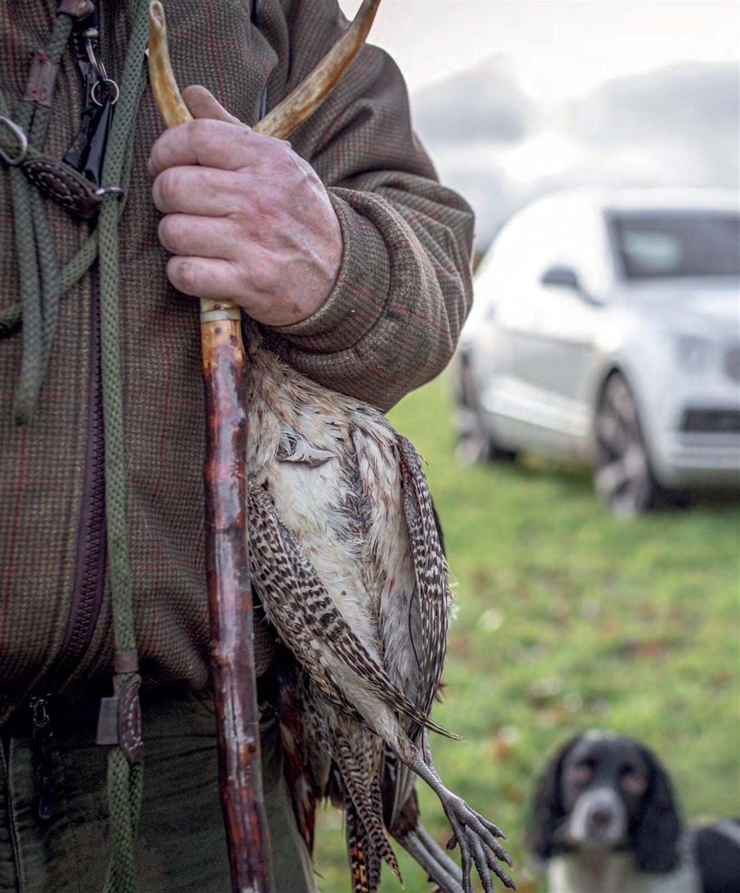 Fieldsports Journal Preview Pages