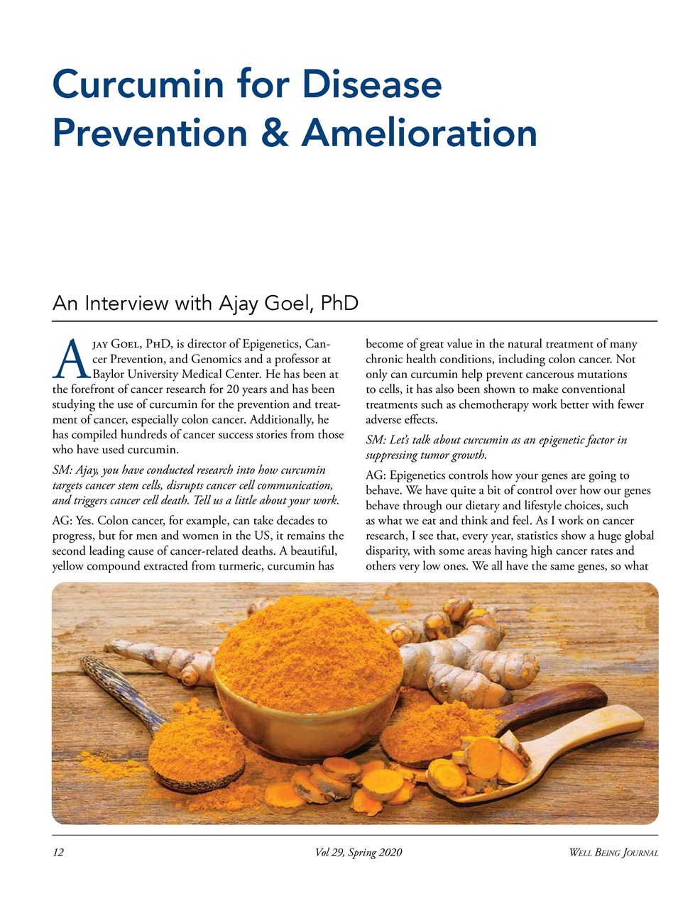 Well Being Journal Preview Pages