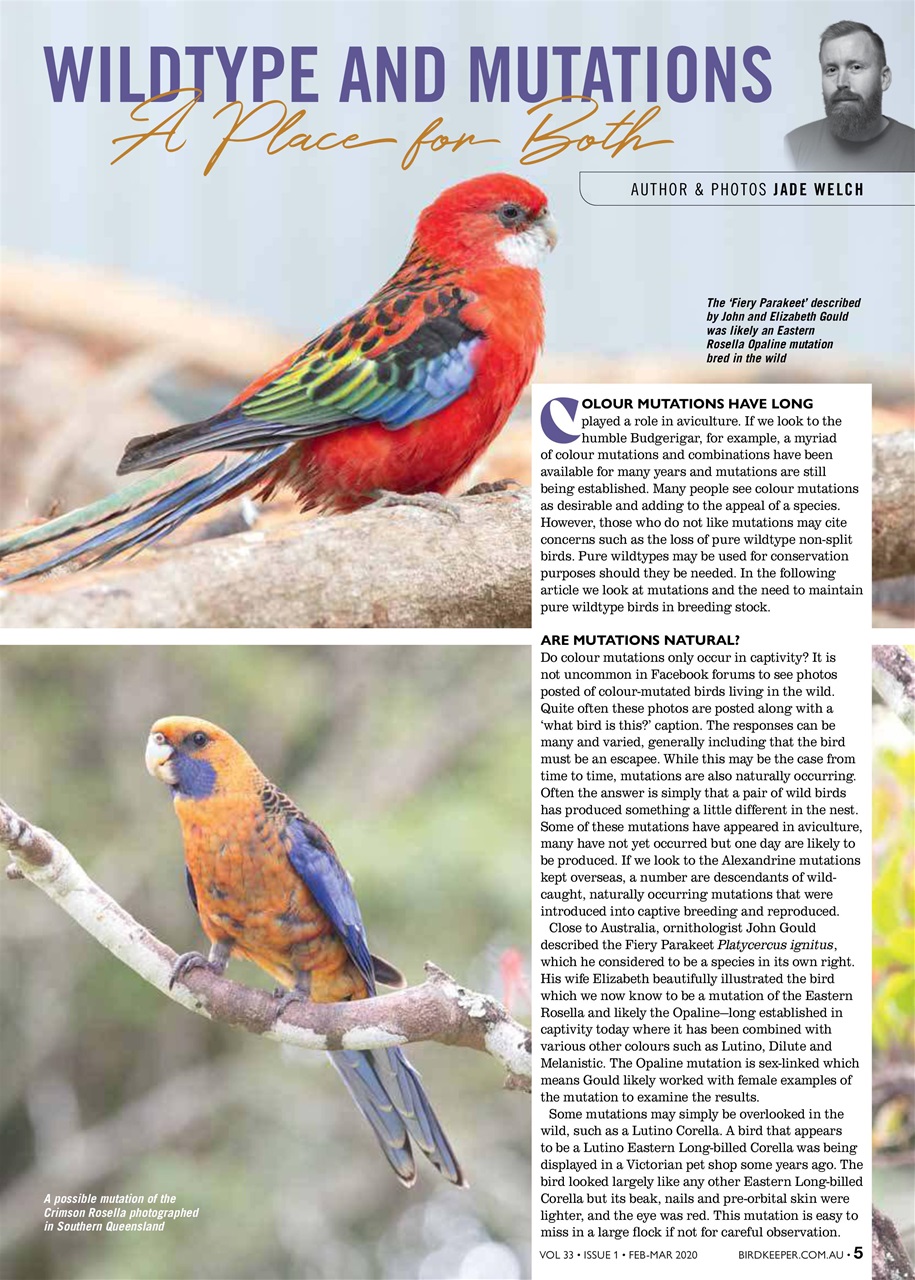 Australian Birdkeeper Magazine Preview Pages
